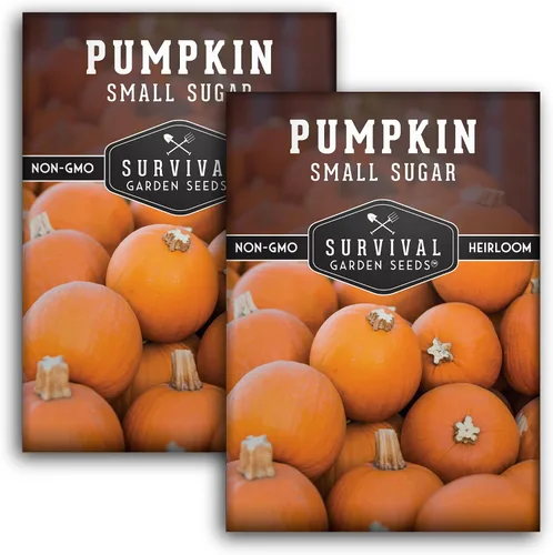 Miniatura 10 de Survival Garden Seeds - Semillas pequeñas de calabaza de azúcar para plantar - 1 paquete con instrucciones para cultivar calabazas de pastel