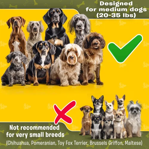 Miniatura 2 de Exquisita correa de perro manos libres para perros pequeños Correa de cintura para pasear perros Correa de correr para perros Correa de Caqui