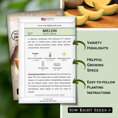 Miniatura 2 de Sow Right Seeds - Semillas de melón Honey Rock para plantar - Paquete de reliquia sin OMG con instrucciones para plantar un huerto casero - Cultiva