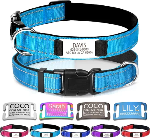 Miniatura 11 de Collares de perro personalizados, collar de perro con etiquetas de identificación de placa de nombre grabadas, collar de nailon ajustable Rosa