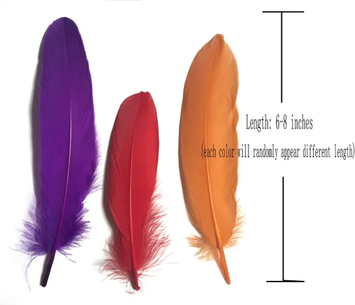 Miniatura 3 de Plumas de ganso de colores, paquete de 100 unidades de 10
