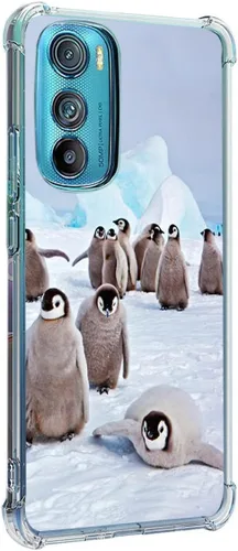 Miniatura 19 de Funda para Motorola Edge 2022, colibrí, mariposa, flores, protección contra caídas, a prueba de golpes, TPU de cuerpo completo, funda protectora
