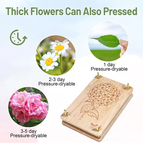 Miniatura 5 de Suziko Kit de prensa de flores grande para adultos y niños, 10.8 x 6.9 pulgadas, kit de preservación de plantas de flores, arte y manualidades