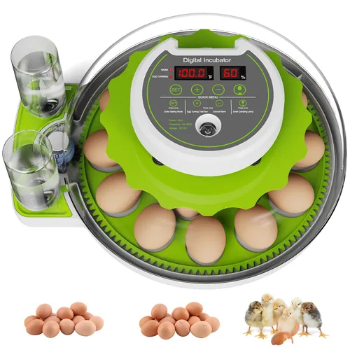 Incubadora de 18 huevos con giro automático de huevos y control de humedad, vista panorámica HD, vela integrada para incubar pollo, pato, granjas de