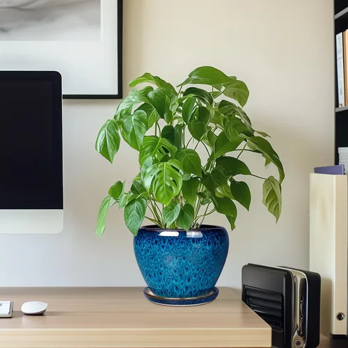 Miniatura 7 de Maceta de Cerámica Moderna con Esmalte para Suculentas con Agujero de Drenaje y Platillo, Maceta Redonda de 6 Pulgadas para Plantas de Flores