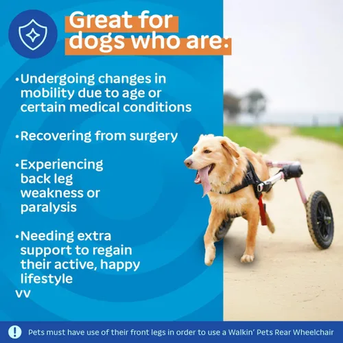 Miniatura 4 de Walkin' Wheels Silla de ruedas para perros, para perros medianos y grandes, de 50 a 69 libras, aprobada por veterinarios, silla de ruedas para Rosa