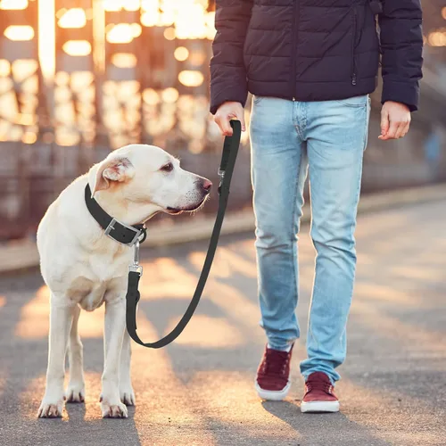 Miniatura 6 de Wisedog Correa impermeable para perro, ajustable de 5 pies/6 pies con 2 ganchos giratorios de metal, correas de perro fáciles de limpiar para perros
