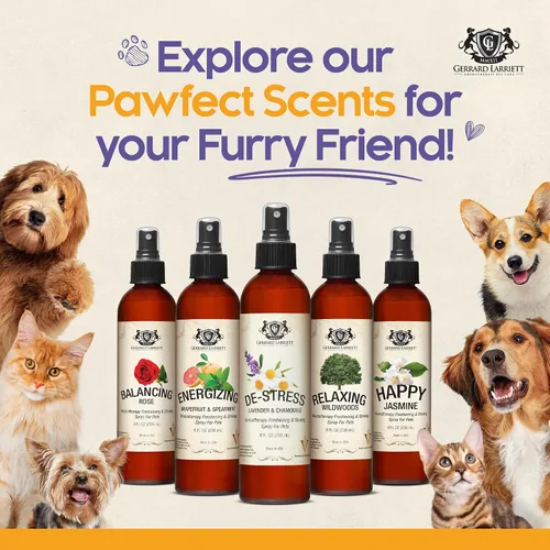 Miniatura 6 de Aerosol refrescante y brilloso de aromaterapia para mascotas, aerosol para aseo de perros, perfume canino, colonia de perro y eliminador de olor