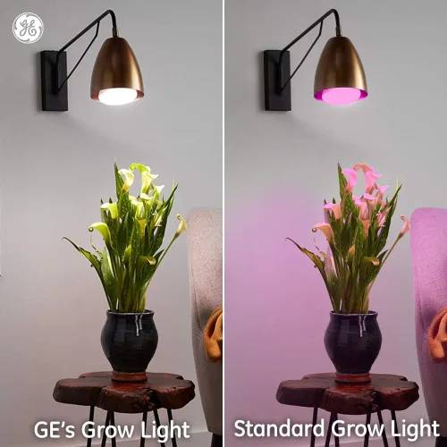 Miniatura 4 de GE Grow Light Advanced Red BR30 (paquete de 1)
