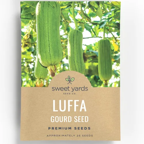 Luffa Gourd - Sobre grande de 2,500 mg - 25 semillas de flores para plantar - Luffa aegyptiaca