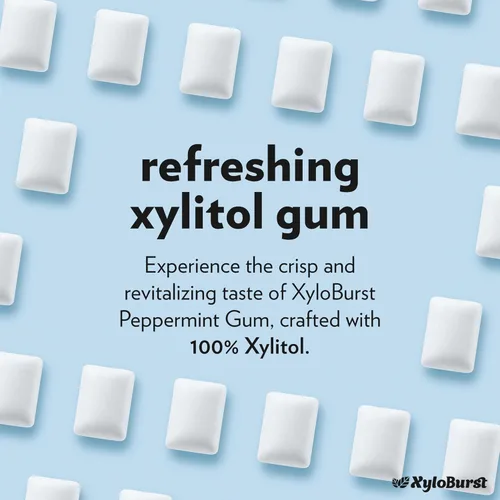 Miniatura 6 de XyloBurst Goma de mascar de xilitol Sin azúcar, sin gluten, apto para dieta cetogénica Goma de mascar sin aspartamo para la salud bucal Menta