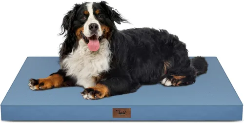 Miniatura 32 de Cama ortopédica de felpa para perros y cachorros medianos, camas impermeables para perros de 30 x 20 pulgadas con funda extraíble lavable, tapete