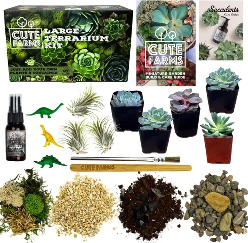 Miniatura 11 de Cute Farms - Juego de terrario para principiantes Musgo, vermiculita, tierra, piedras, alimento para plantas, herramientas de terminado, guía