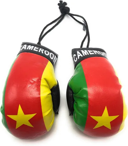 Mini guantes de boxeo para colgar en el espejo del coche (Camerún)