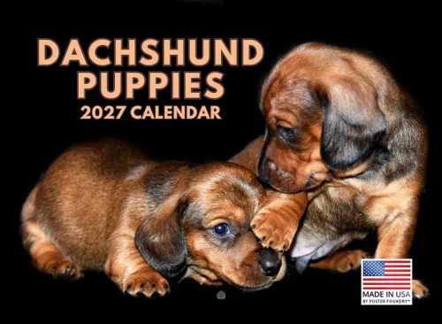 Miniatura 17 de Calendario de pared mensual 2025 Great Dane de 12 meses, fabricado en Estados Unidos
