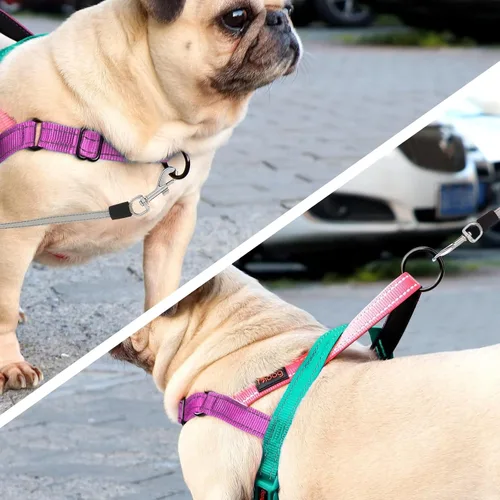 Miniatura 3 de Didog Arnés sin tirones para perro, con mango acolchado suave, ajuste rápido y ligero ajustable, fácil de entrenar y caminar para perros pequeños
