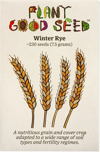 Miniatura 9 de Plant Good Seed Semillas orgánicas de trigo de primavera de águila negra, paquete de 175, semillas tradicionales para plantar granos, verduras