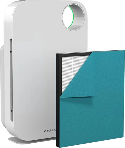 OVAL AIR AIR1000A - Purificador de aire H13 True HEPA 5 en 1 de 3 etapas para alérgenos, polvo, mascotas, alergias, olor, humo, polen, habitaciones