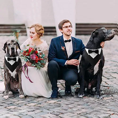 Miniatura 5 de Collar de perro de esmoquin para boda, compromiso y cumpleaños, collar bandana formal para perro disfraz con corbata de moño y hebilla ajustable