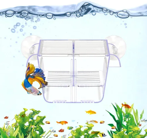 Miniatura 8 de DaToo Caja de cría de peces acuario tanque de retención transparente Caja de aislamiento de peces aclimatación incubadora incubadora criador