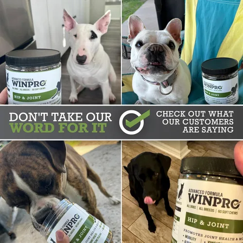 Miniatura 7 de WINPRO Suplemento para cadera y articulaciones para perros - Masticables suaves potenciados por plasma para la salud de las articulaciones