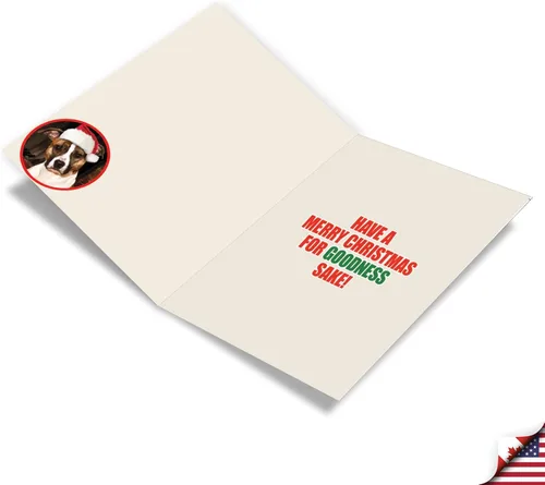 Miniatura 2 de NobleWorks Paquete a granel de 36 tarjetas de felicitación divertidas de Navidad con sobres, tarjetas divertidas en caja para perros y mujeres