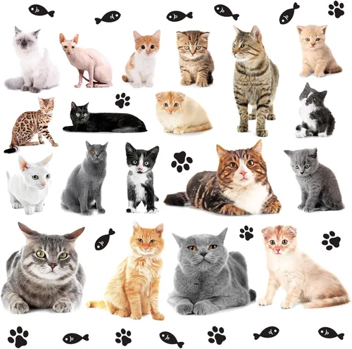 Calcomanías de pared 3D con diseño de gatito, calcomanías removibles para pared, diseño de patas de gato, calcomanías de pared para despegar y