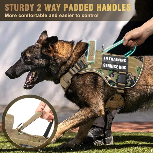 Miniatura 4 de WINSEE - Arnés táctico para perro grande, chaleco MOLLE de servicio para perro resistente con 10 parches para mascotas, chaleco militar de trabajo