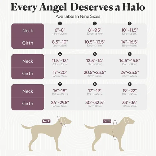 Miniatura 7 de Muffin's Halo® - El halo original para perro ciego Arnés y collar de parachoques accesorio para una navegación segura y confianza - Negro, talla 1