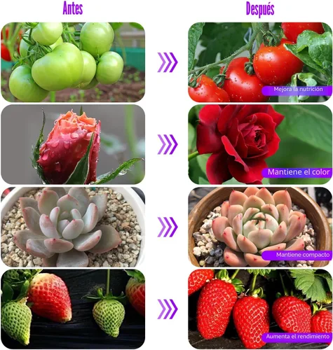 Miniatura 6 de Luces de cultivo de mejora con 168 LEDs, luces de planta con clip para plantas de interior, lámparas de crecimiento de plantas LED blancas+rojas