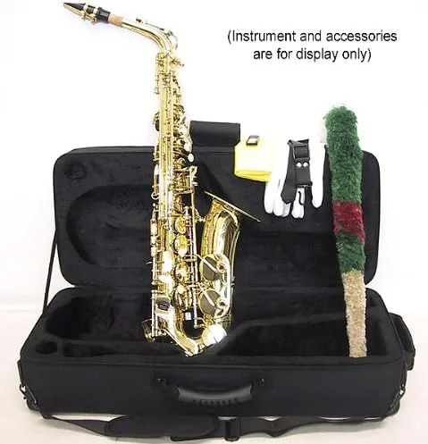 Miniatura 2 de SKY - Funda ligera para saxofón alto, mochilero. *Cremallera mejorada (YKK)*