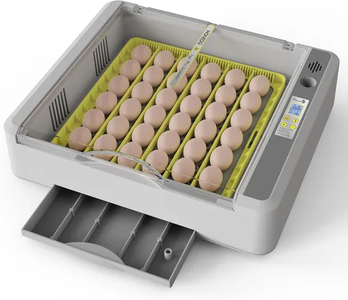 Incubadora de huevos para incubar pollos, girador automático de 36 huevos con control de temperatura y humedad, vista panorámica multifuncional