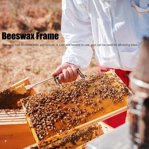 Miniatura 3 de 10 hojas de cera de abeja natural, hojas de cera de abeja, base de cera, colmenas de abeja, hojas de cera de abejas para hacer velas, muebles