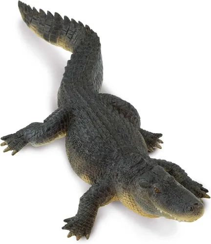 Miniatura 7 de Safari Ltd. Figura de cocodrilo – Figura detallada de caimán de plástico de 10.5 pulgadas – Divertido juguete educativo para niños, niñas y niños a