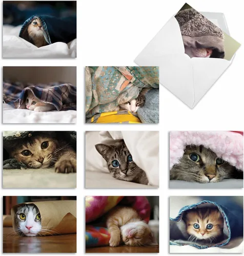 Miniatura 8 de The Best Card Company - 10 adorables tarjetas de gato en blanco (4 x 5.12 pulgadas) - Lindos gatitos para mascotas, juego surtido de tarjetas