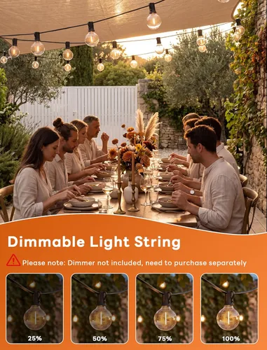 Miniatura 5 de Abeja - Cadena de luces para exteriores, de 25 pies con bombillas LED G40 tipo globo con 27 bombillas de plástico Edison (2 de repuesto), luces