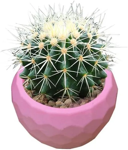 Miniatura 3 de Molde pequeño de silicona para maceta, molde de arcilla de cemento de cerámica, maceta de plantas suculentas, molde de resina epoxi, portavelas