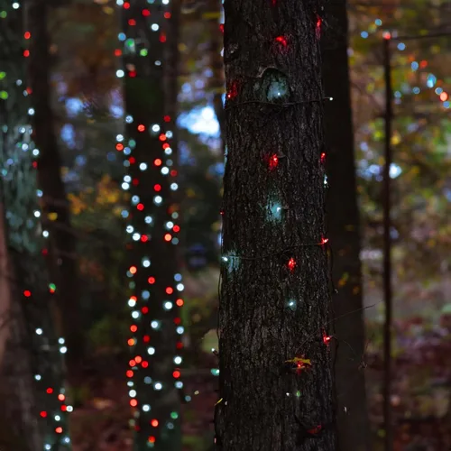 Miniatura 7 de TW SHINE - Luces de Navidad operadas con batería, paquete de 2, total 100 LED, 32 pies, luces de cadena operadas con batería con 8 modos, luces