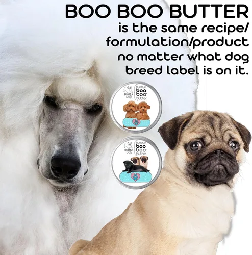 Miniatura 5 de The Blissful Dog Mantequilla Booboo de sabueso en lata de 2 oz