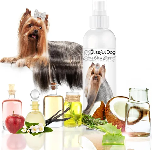 Miniatura 7 de The Blissful Dog Shine-On + Sheen Coat - Spray para perro, acondicionador fácil de usar, acondicionador sin enjuague sensible a la piel, espray