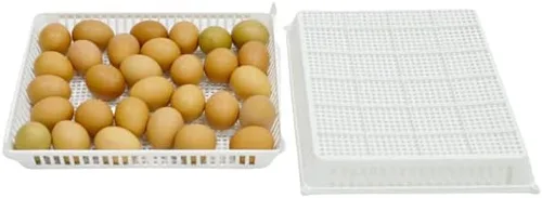 Miniatura 4 de Hatching Time Volteador automático de huevos, diseño sin vibraciones, fácil de limpiar, bajo uso de energía, adecuado para pollos