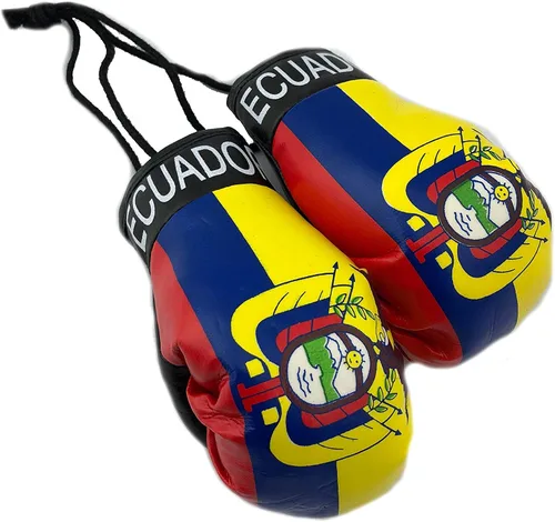 Miniatura 23 de Mini guantes de boxeo para colgar en el espejo del coche (Camerún)
