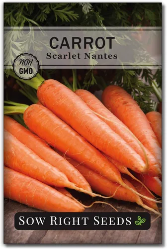 Miniatura 9 de Sow Right Seeds - Semillas de zanahoria Scarlet Nantes a granel para plantar - 0.25 oz, 5000 semillas - Paquete jumbo de reliquia sin OMG