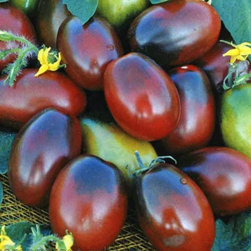 Miniatura 2 de Semillas Verduras Tomate Negro De Barao - 40 Semillas