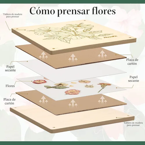 Miniatura 7 de Aboofx Kit de prensa de flores, kits de manualidades de 11 x 11 pulgadas, kit de prensado de flores de madera de 10 capas para manualidades, prensa