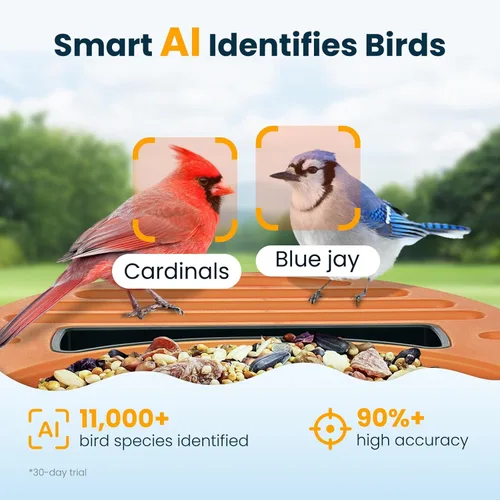 Miniatura 3 de Comedero inteligente para pájaros con cámara, cámara de observación de aves WiFi con energía solar de 2.5 K, identificación de especies de aves AI