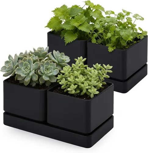 Miniatura 9 de D'vine Dev Juego de macetas de jardín de hierbas para interiores, macetas de plástico para alféizar de ventana con drenaje y platillo, maceta