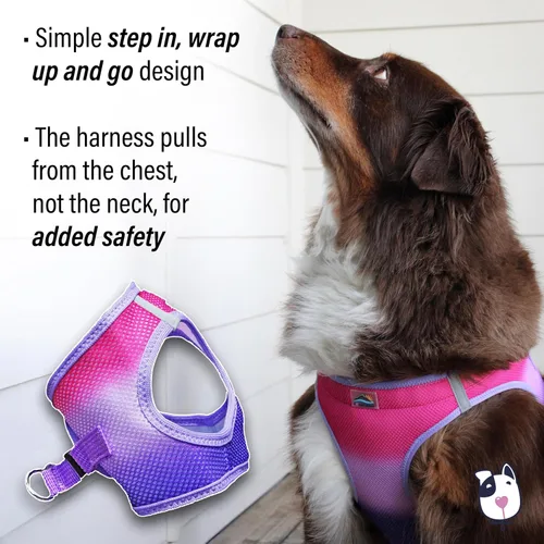Miniatura 3 de Doggie Design Arnés para perro, arnés para perro sin estrangulamiento, chaleco para perro, malla de poliéster, arnés para mascotas, diseño simple