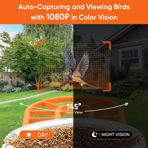 Miniatura 5 de FVVL - Comedero para pájaros con cámara alimentado por energía solar, cámara inteligente de alimentación inteligente para aves con visión