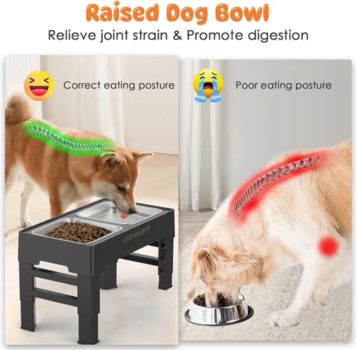 Miniatura 3 de URPOWER Cuencos elevados para perros, soporte elevado ajustable de 4 alturas con 2 cuencos grandes de acero inoxidable para alimentos y agua